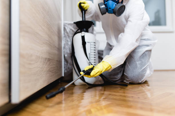 Best Affordable Pest Control Services  in Ellicott City, MD