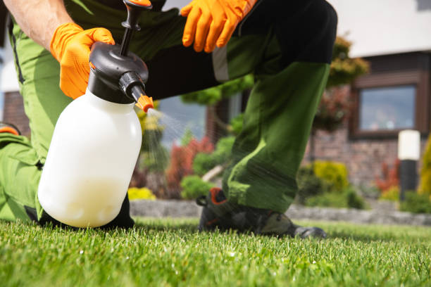 Professional Pest Control in Ellicott City, MD