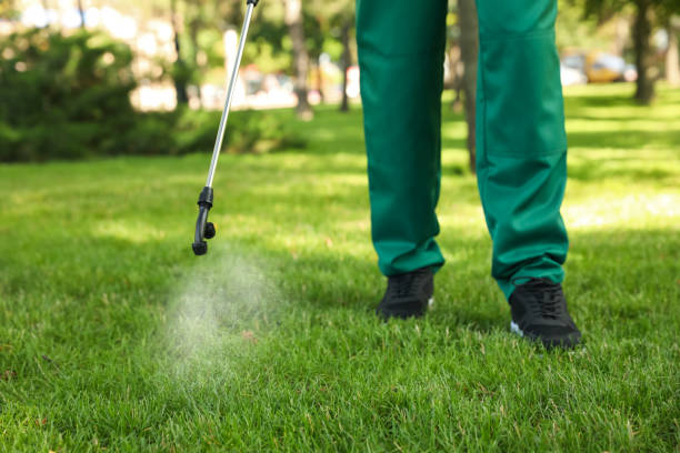 Best Best Pest Control Companies  in Ellicott City, MD
