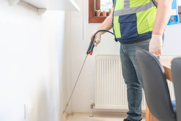 Wasp Removal Services in Ellicott City, MD