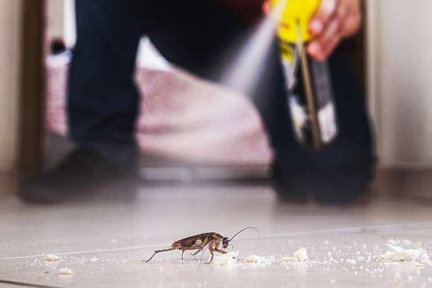 Insect Control in Ellicott City, MD